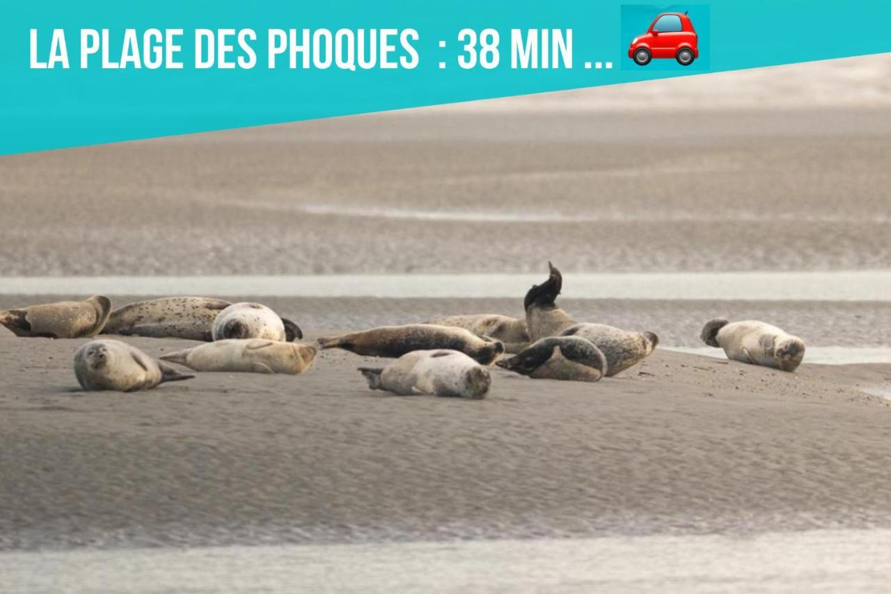 Les Penates De * Camiers